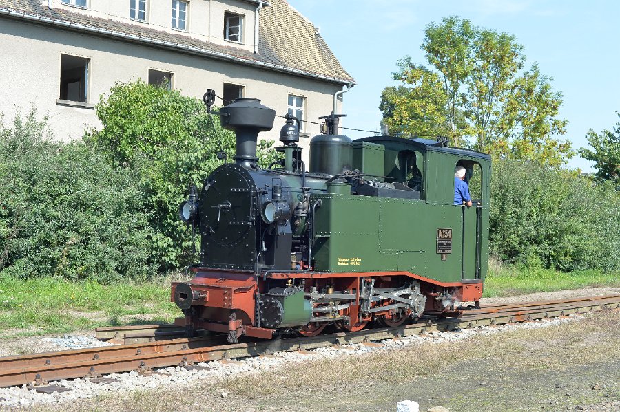 Lok 54 Döllnitzbahn 2015 August 01